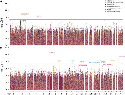 Genome-Wide Association Study of Alzheimer’s Disease Brain Imaging Biomarkers and Neuropsychological Phenotypes in the European Medical Information Framework for Alzheimer’s Disease Multimodal Biomarker Discovery Dataset